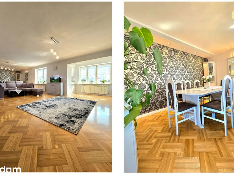 Dom + lokal handlowo usługowy + magazyn + hala